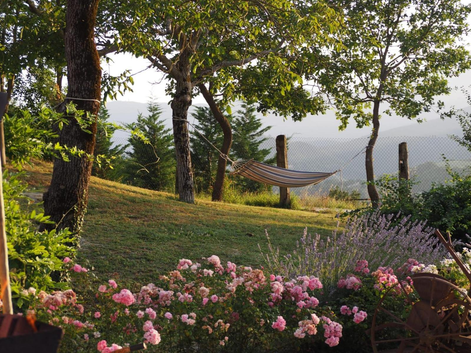 Agriturismo Il Castellaro Sassoferrato Dış mekan fotoğraf