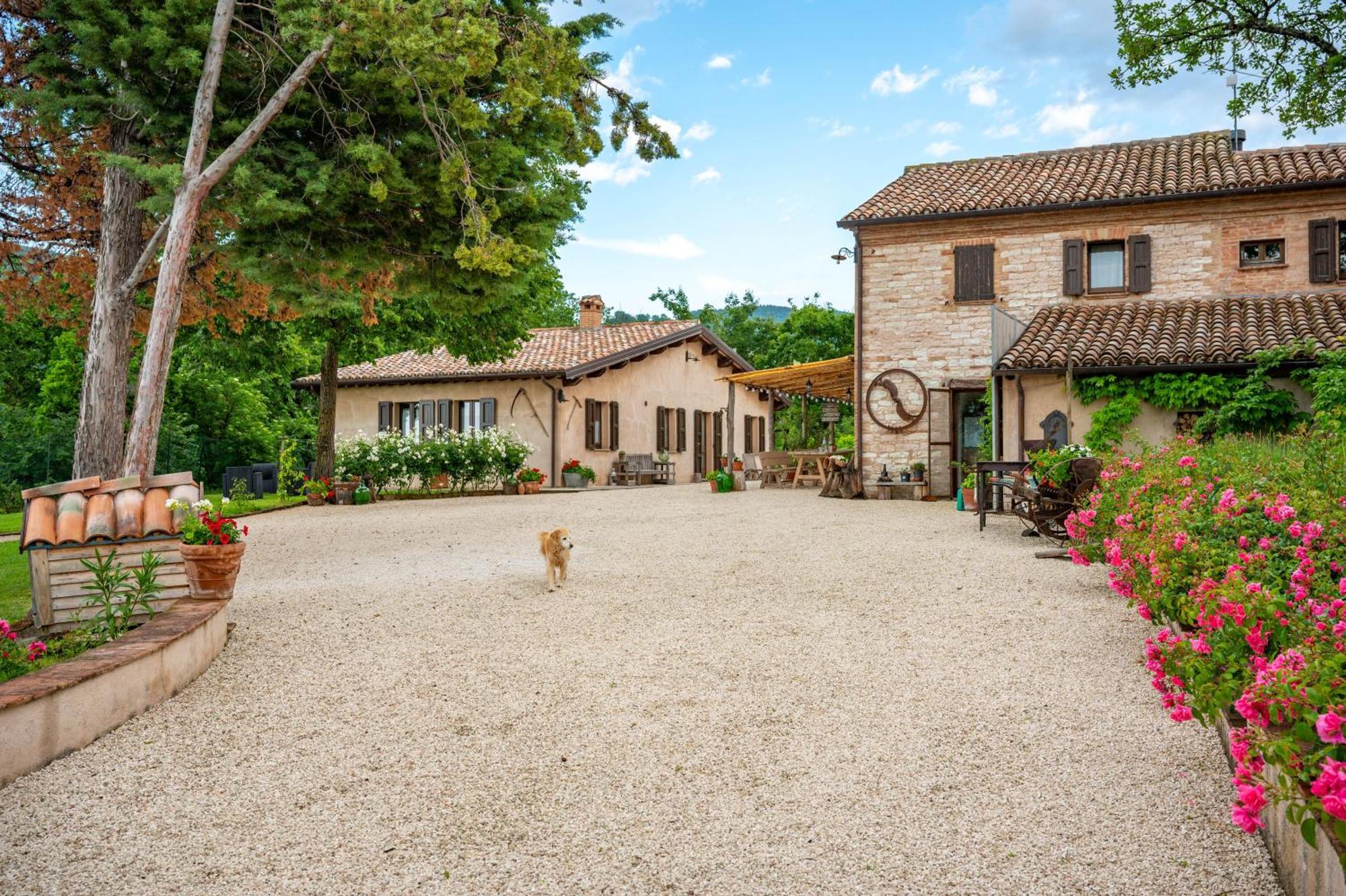 Agriturismo Il Castellaro Sassoferrato Dış mekan fotoğraf